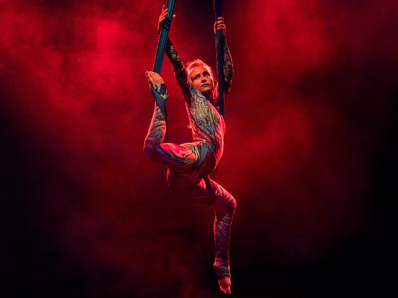 Akrobatické vystoupení na konferenci